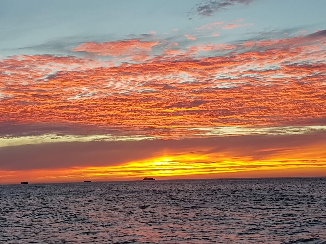 20180715_185631.jpg